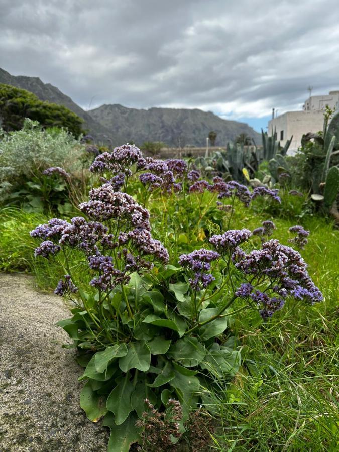 Aventura En Buenavista Del Norte Exterior foto